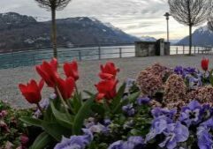 lakebrienz-boattrip-switzerlandviews-boatrips